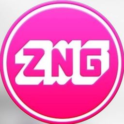 ZNG Toys