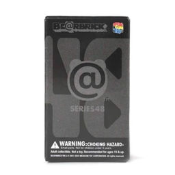 Be@rbrick : Series 48