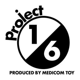 Project 1/6