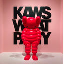 Kaws What Party