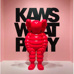 Kaws What Party