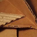 Cardboard