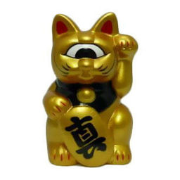 Message Fortune Cat